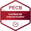 MS Internal Auditor