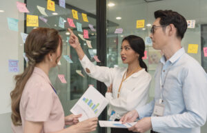 professional agile leadership certification