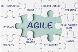 agile coaching